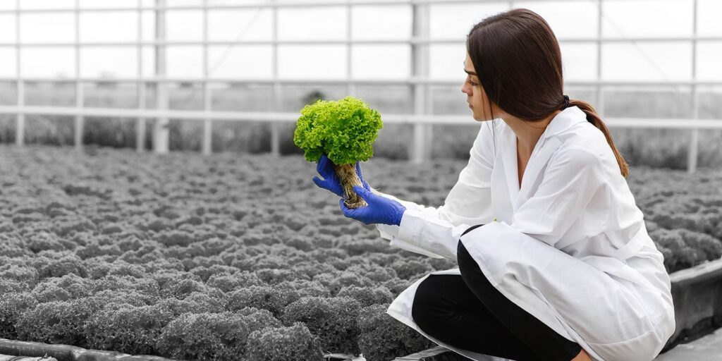 Hydroponics