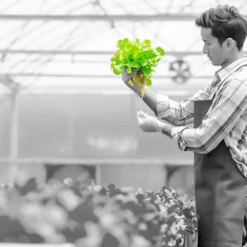 Hydroponics – Revolutionizing Indian Agriculture
