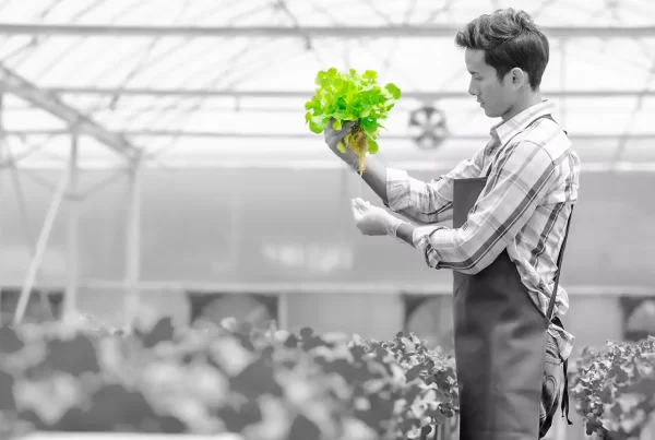 Hydroponics – Revolutionizing Indian Agriculture