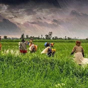 Fortifying our Agriculture against Climate Change