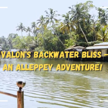 Avalon's Backwater Bliss An Alleppey Adventure