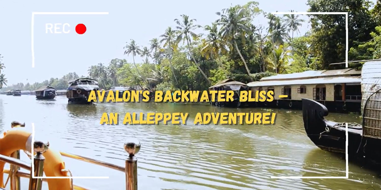 Avalon’s Backwater Bliss An Alleppey Adventure!