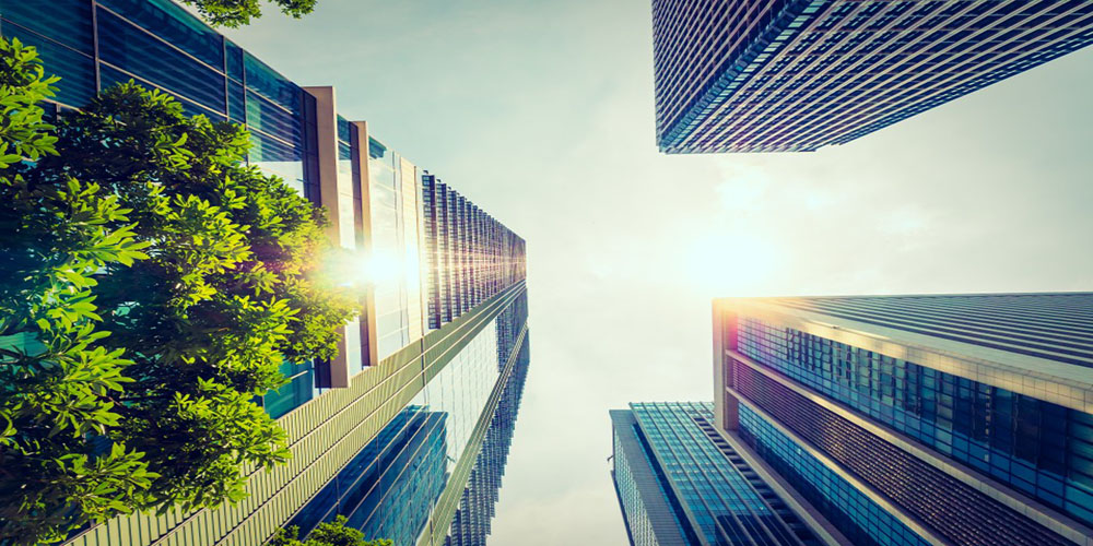 Impact Paper 27: Enabling ESG Leadership for a Saudi B2B Tech Firm