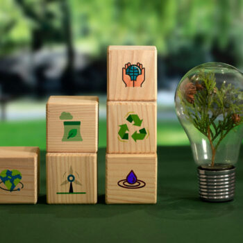 Circular Economy in the Energy Sector