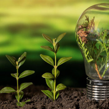 The Dynamic Nature of ESG Materiality